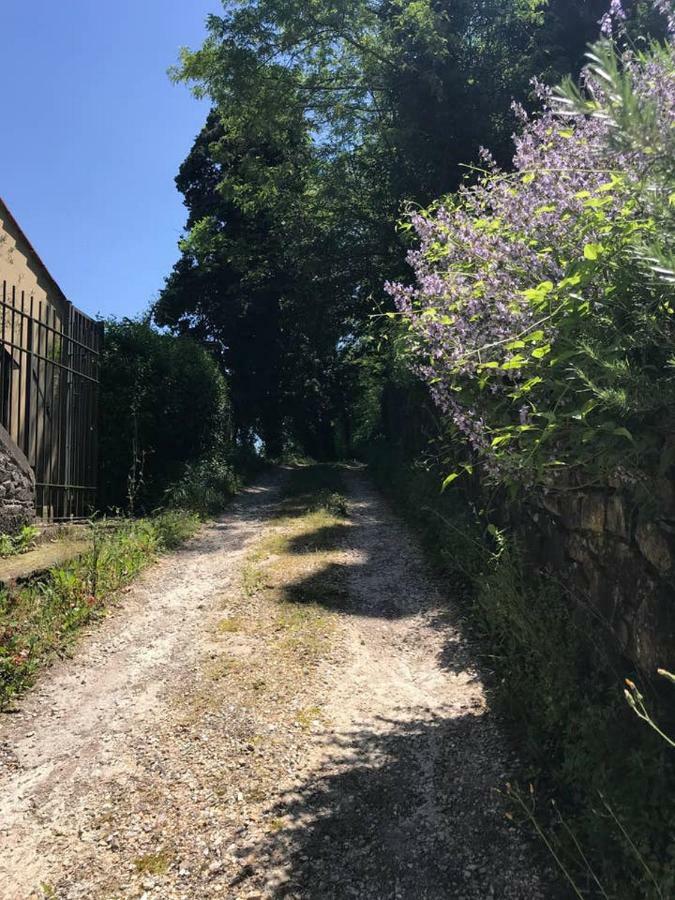 Апартаменти Antica Dimora Di Laura Барберино-ді-Муджелло Екстер'єр фото