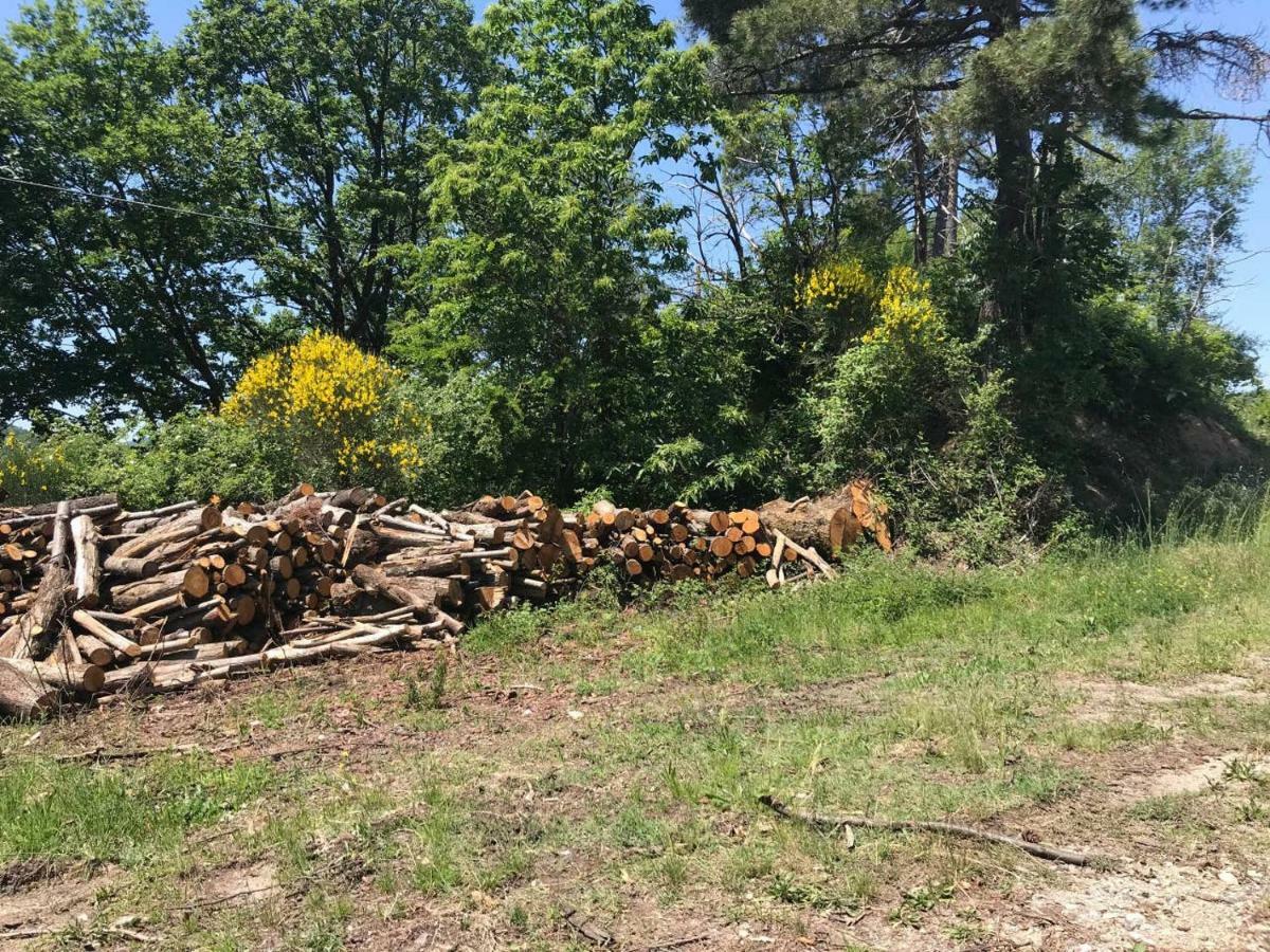 Апартаменти Antica Dimora Di Laura Барберино-ді-Муджелло Екстер'єр фото