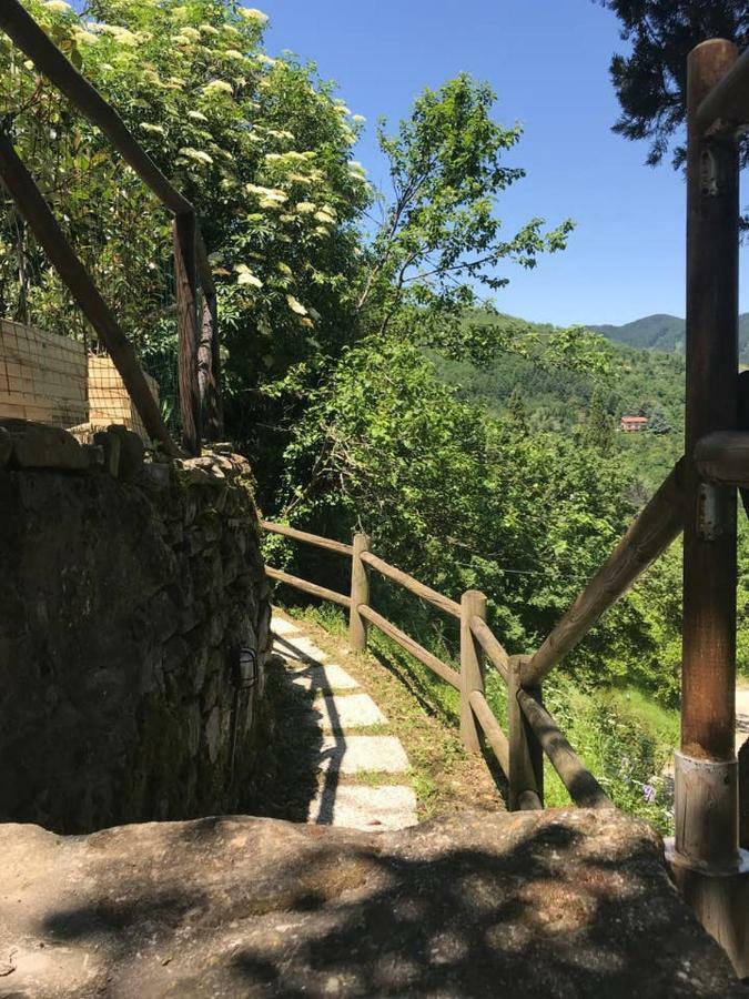 Апартаменти Antica Dimora Di Laura Барберино-ді-Муджелло Екстер'єр фото